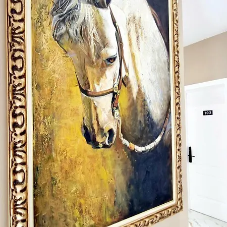 Panto * Τίρανα